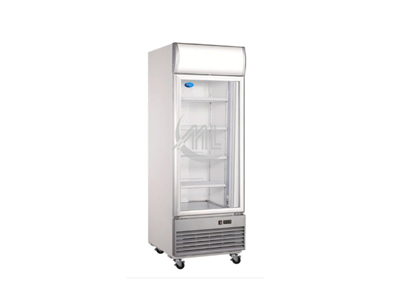 SNOW - 1 Glass Door Freezer